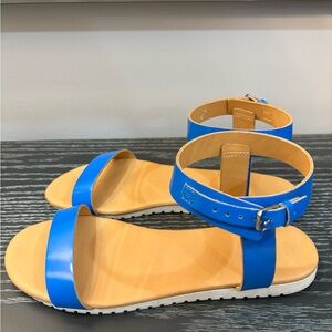 J Crew Blue Ankle Strap Sandals